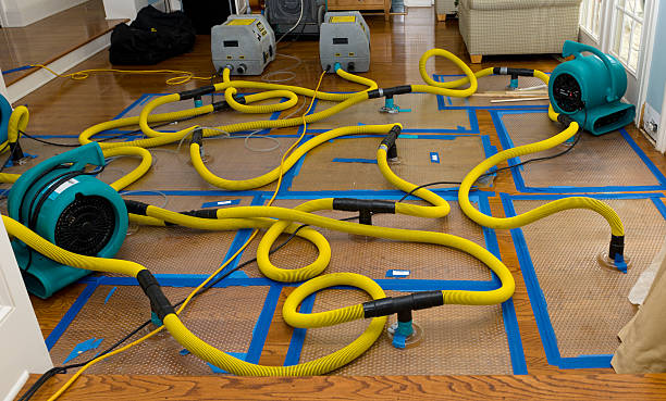 Professional Crawl Space Water Removal technician working in Wellington, FL